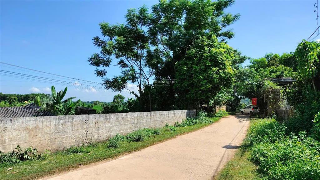 Bất động sản tại Thanh Hóa - ảnh 1