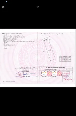 Bất động sản tại Quảng Ngãi - ảnh 1