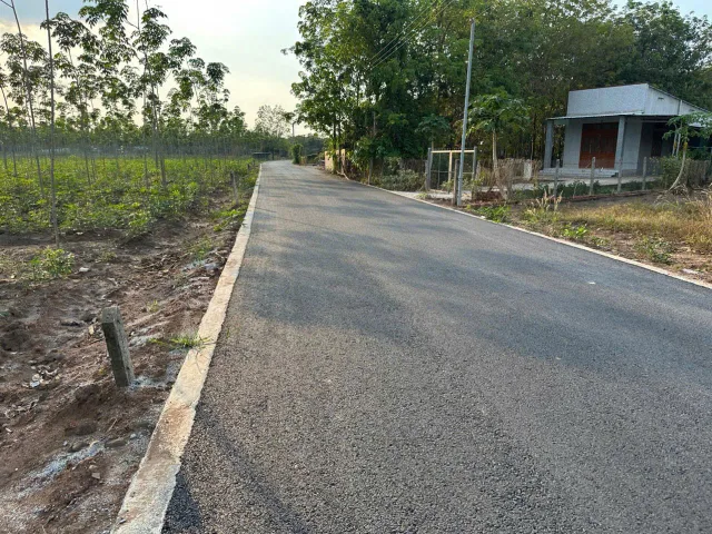 Bất động sản tại Bình Dương - ảnh 1