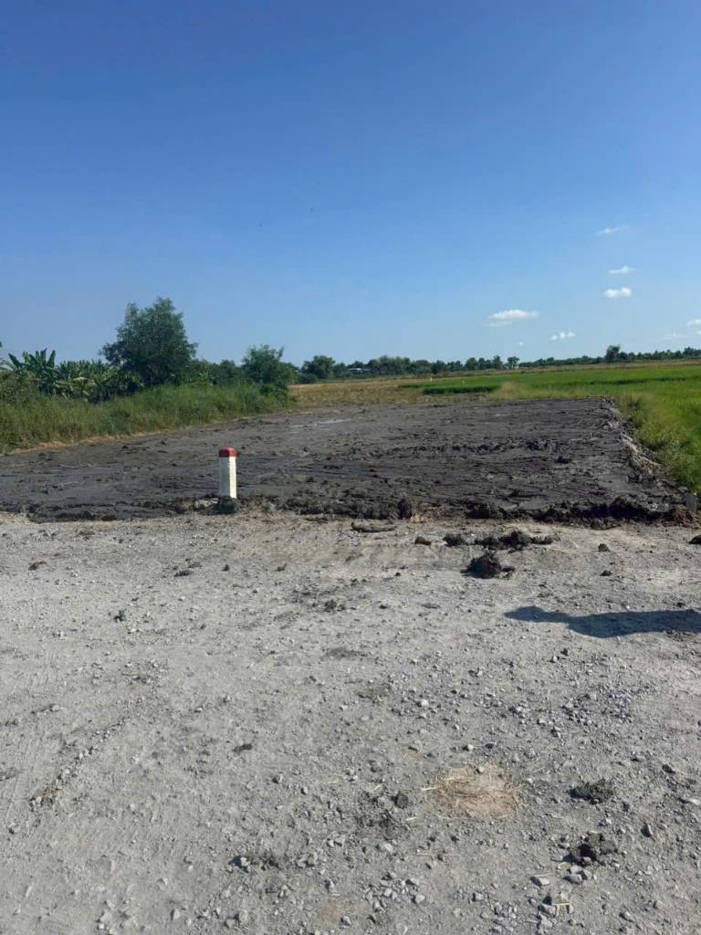 Bất động sản tại Long An - ảnh 1