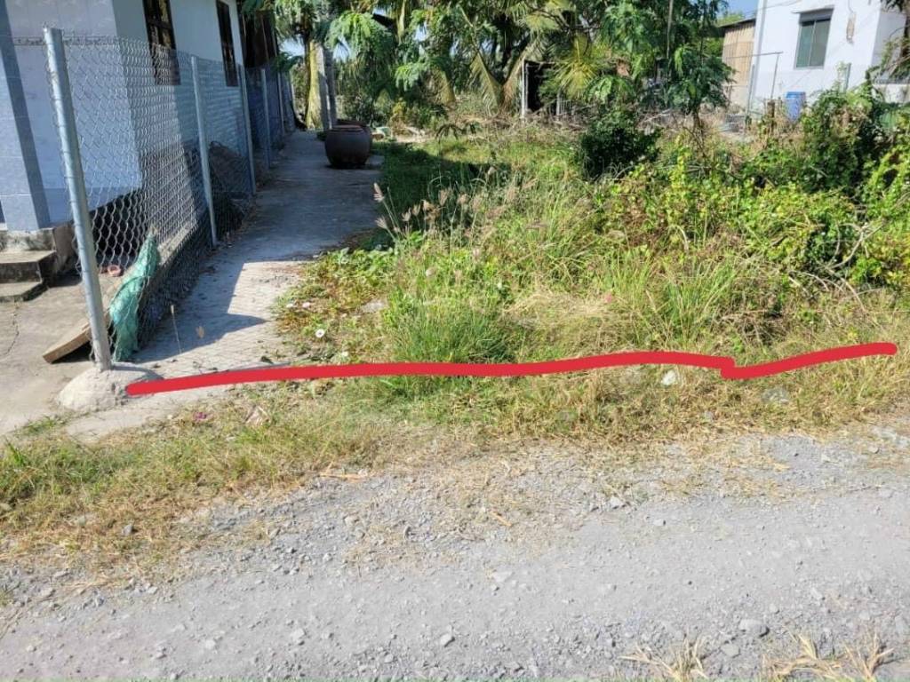 Bất động sản tại Long An - ảnh 1
