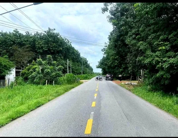 Bất động sản tại Bình Dương - ảnh 1