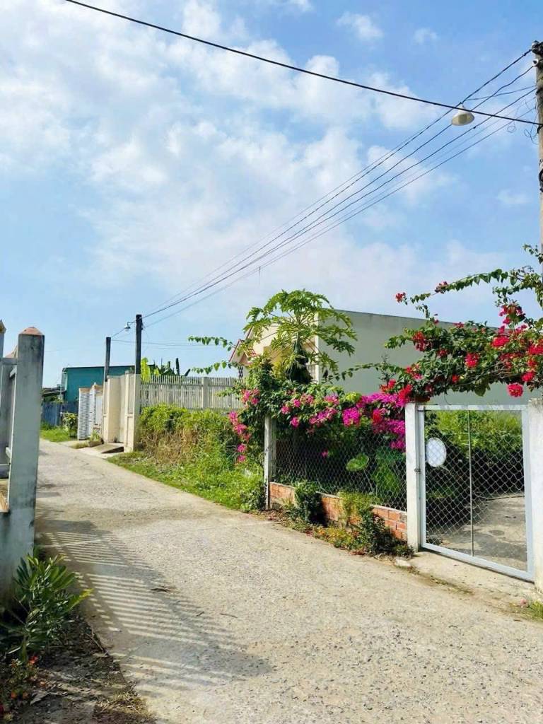 Bất động sản tại Long An - ảnh 1