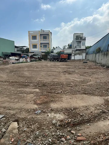 Bất động sản tại Bình Dương - ảnh 1