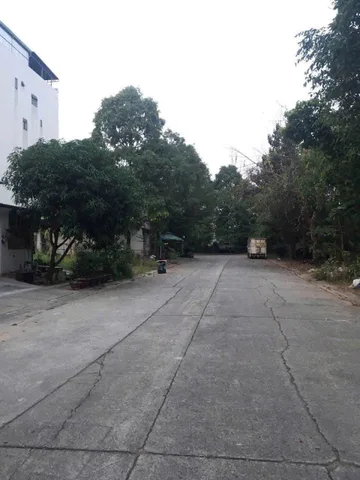 Bất động sản tại Bình Dương - ảnh 1