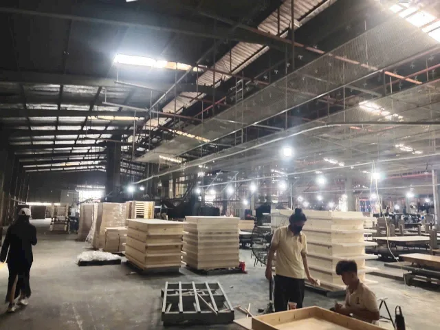Bất động sản tại Bình Dương - ảnh 1