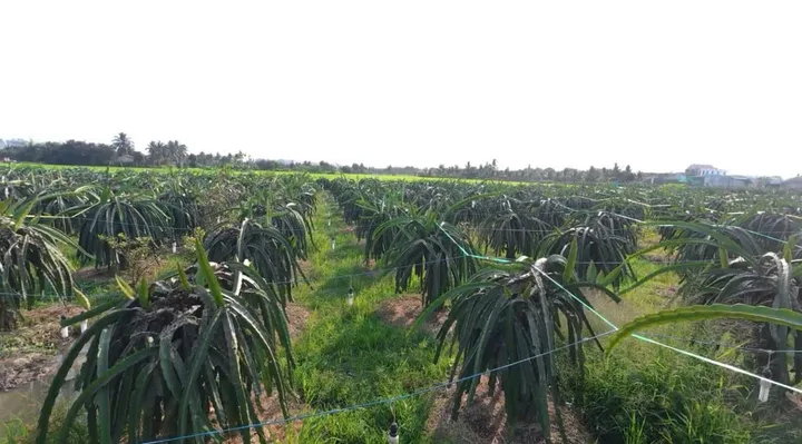 Bất động sản tại Tây Ninh - ảnh 1