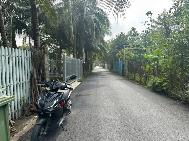 Bất động sản tại Bình Dương - ảnh 1