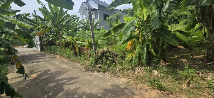 Bất động sản tại Bắc Ninh - ảnh 1
