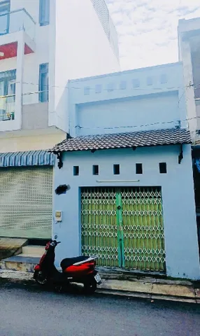 Bất động sản tại TP. Hồ Chí Minh - ảnh 1
