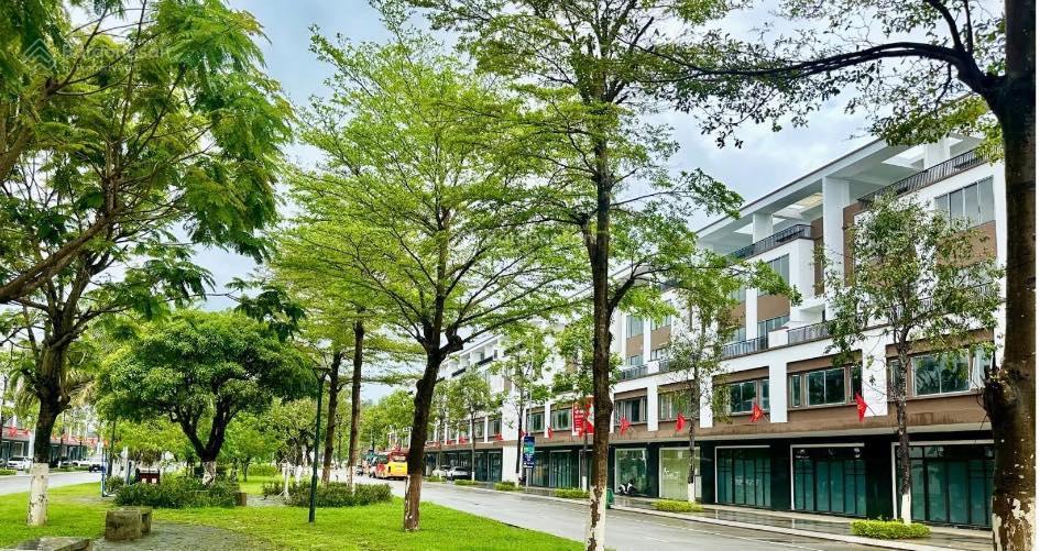 Bất động sản tại Quảng Ngãi - ảnh 1
