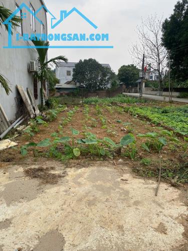 Bất động sản tại Hải Phòng - ảnh 1