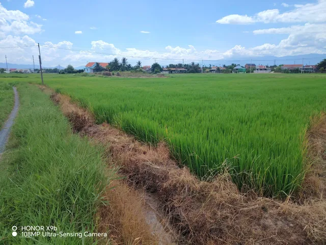 Bất động sản tại Khánh Hòa - ảnh 1