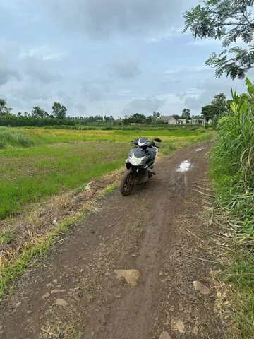 Bất động sản tại Đắk Lắk - ảnh 1