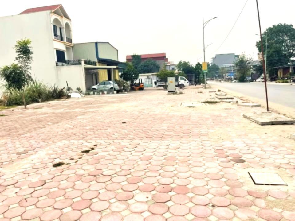 Bất động sản tại Hưng Yên - ảnh 1
