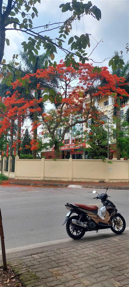 Bất động sản tại Hà Nội - ảnh 1