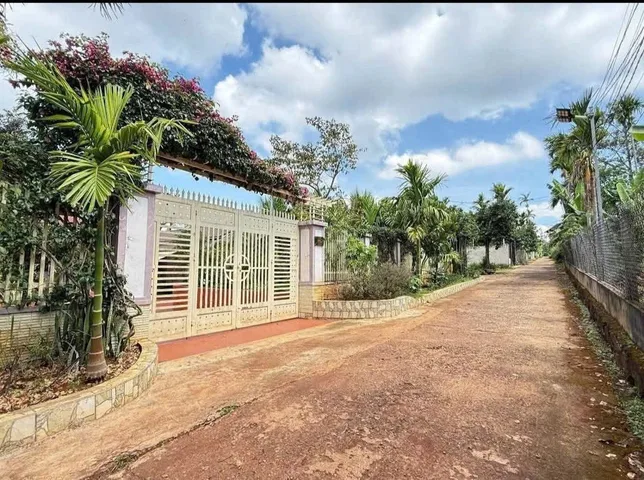 Bất động sản tại Đắk Lắk - ảnh 1