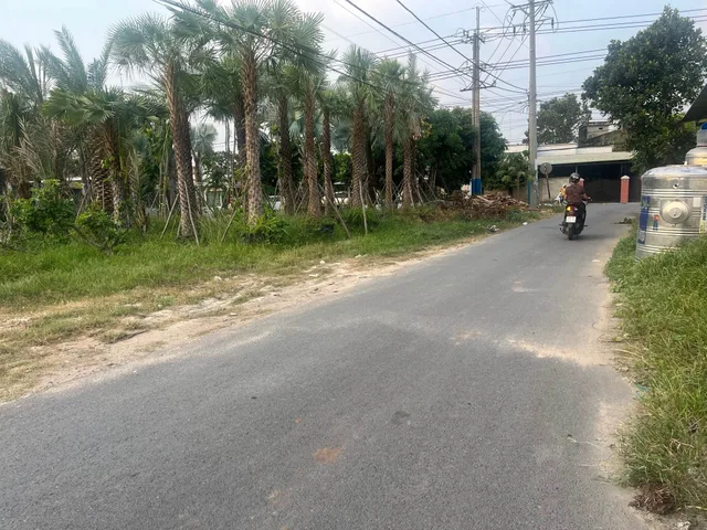 Bất động sản tại TP. Hồ Chí Minh - ảnh 1