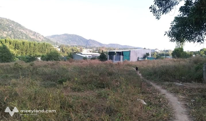Bất động sản tại Bà Rịa - Vũng Tàu - ảnh 1