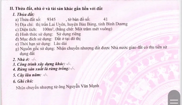 Bất động sản tại Bình Dương - ảnh 1