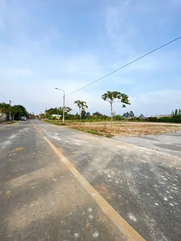 Bất động sản tại Đồng Nai - ảnh 1