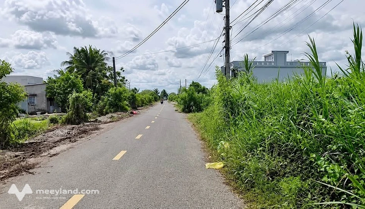 Bất động sản tại Long An - ảnh 1