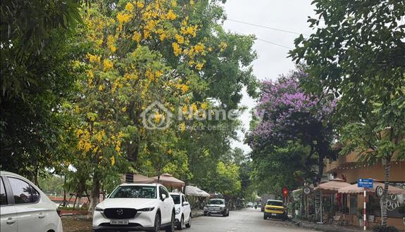 Bất động sản tại Bắc Ninh - ảnh 1