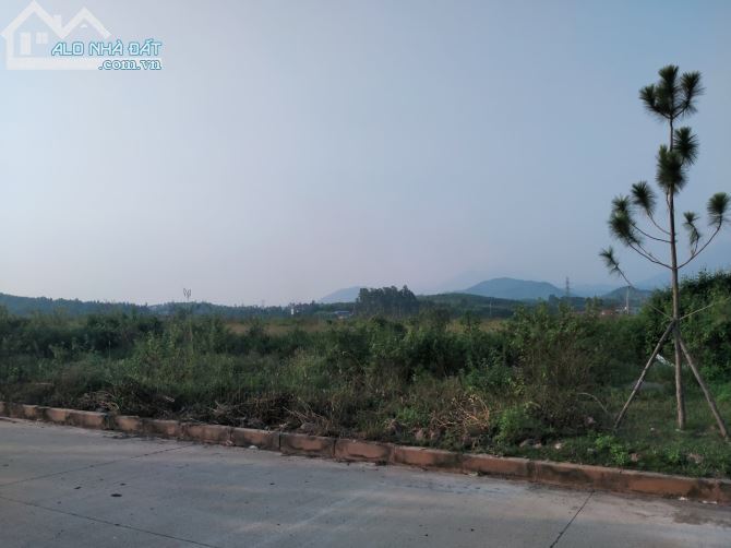 Bất động sản tại Vĩnh Phúc - ảnh 1