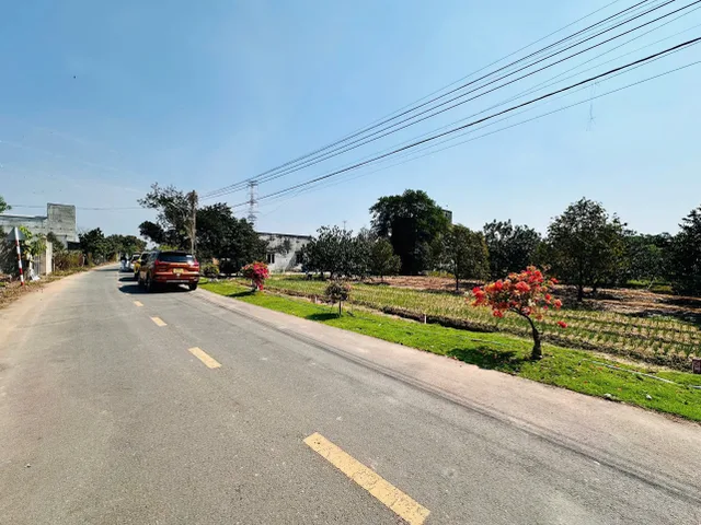 Bất động sản tại Bình Dương - ảnh 1