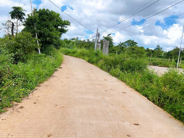 Bất động sản tại Đắk Lắk - ảnh 1