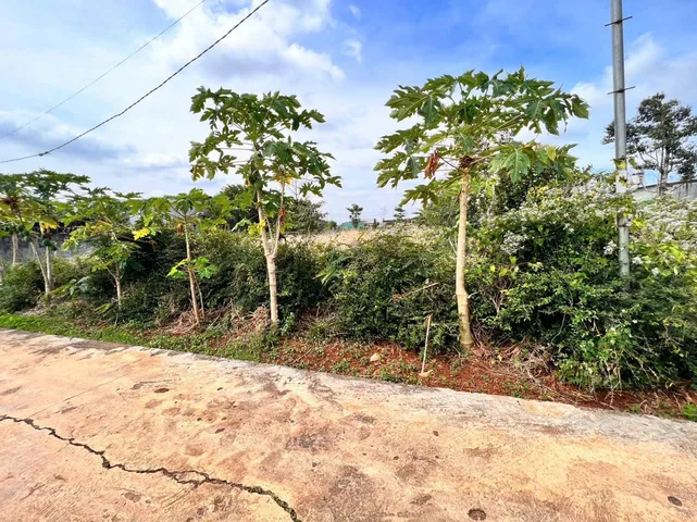 Bất động sản tại Đắk Lắk - ảnh 1