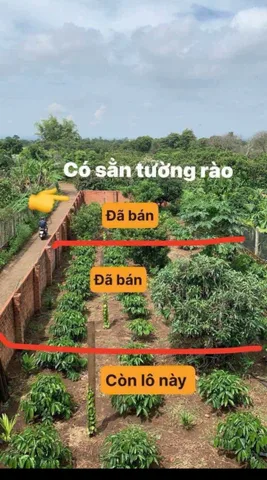 Bất động sản tại Đắk Lắk - ảnh 1
