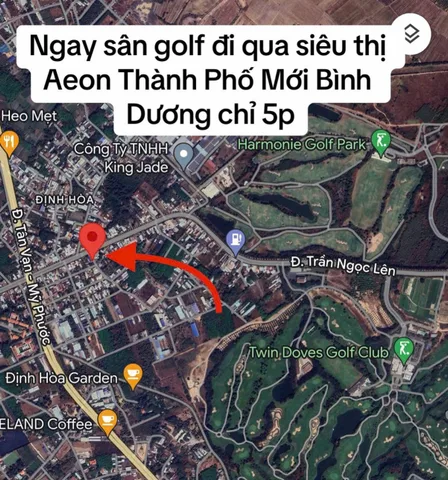 Bất động sản tại Bình Dương - ảnh 1