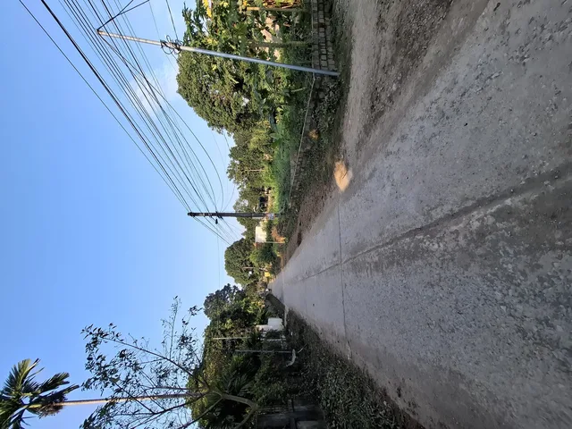 Bất động sản tại Phú Thọ - ảnh 1