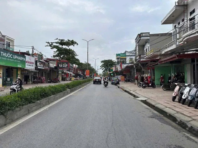 Bất động sản tại Hải Phòng - ảnh 1