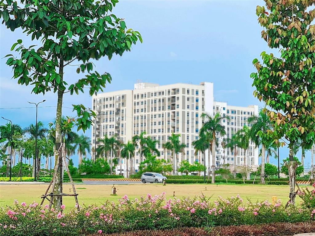 Bất động sản tại Long An - ảnh 1