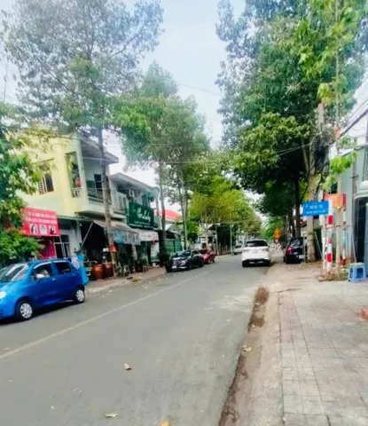 Bất động sản tại Bình Dương - ảnh 1