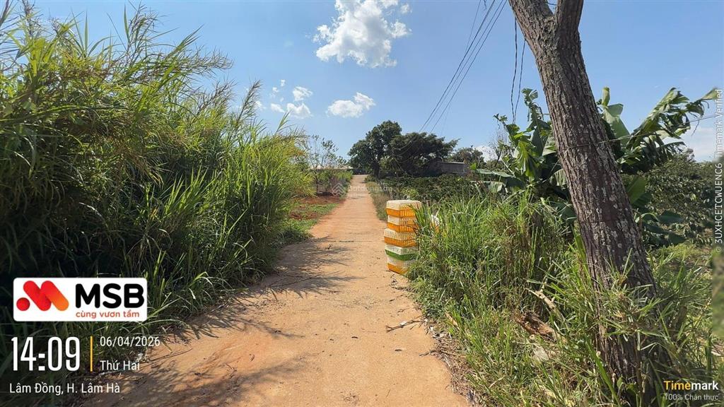 Bất động sản tại Lâm Đồng - ảnh 1