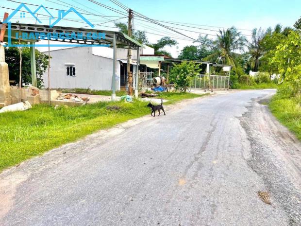 Bất động sản tại Long An - ảnh 1