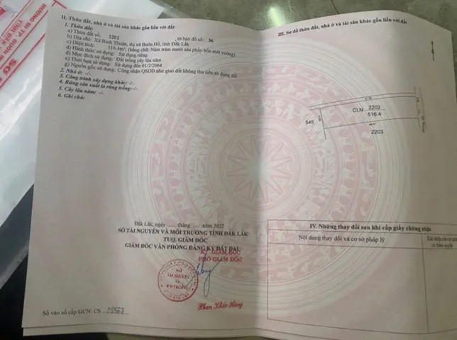 Bất động sản tại Đắk Lắk - ảnh 1