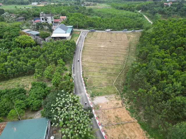 Bất động sản tại Phú Thọ - ảnh 1