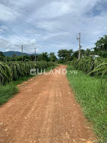 Bất động sản tại Lâm Đồng - ảnh 1