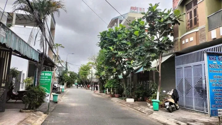 Bất động sản tại Đà Nẵng - ảnh 1