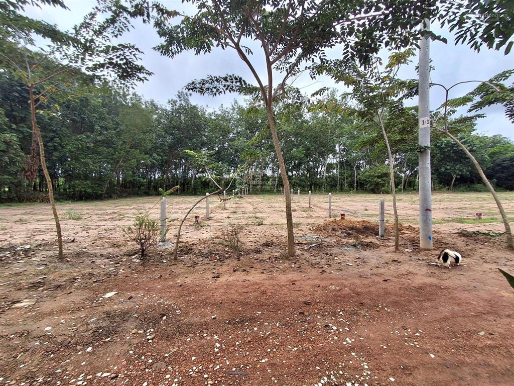 Bất động sản tại Bình Dương - ảnh 1