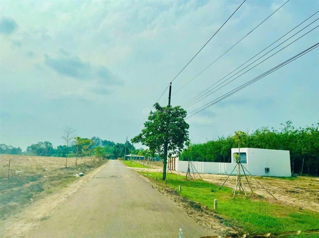 Bất động sản tại Bình Dương - ảnh 1