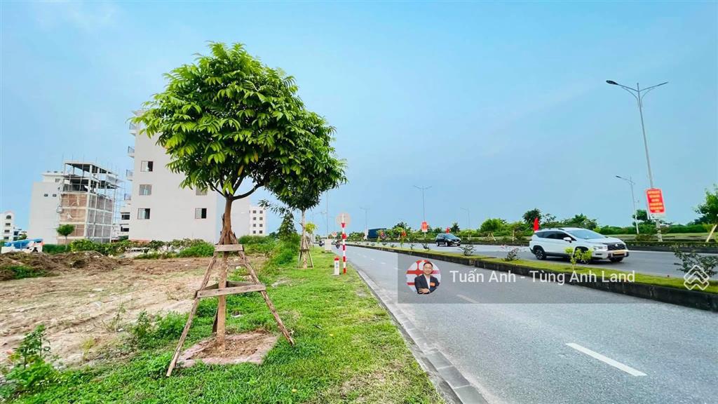 Bất động sản tại Hải Phòng - ảnh 1
