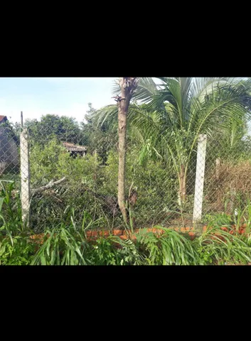 Bất động sản tại Đắk Lắk - ảnh 1