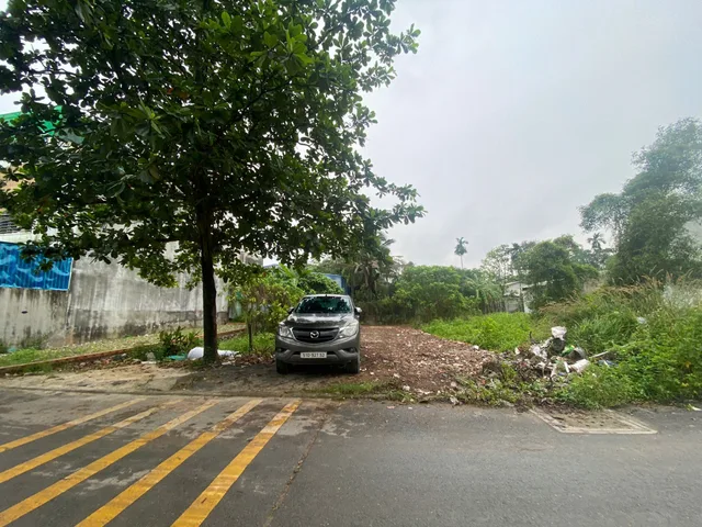 Bất động sản tại Bình Dương - ảnh 1