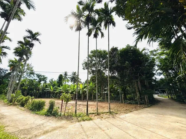 Bất động sản tại Đà Nẵng - ảnh 1
