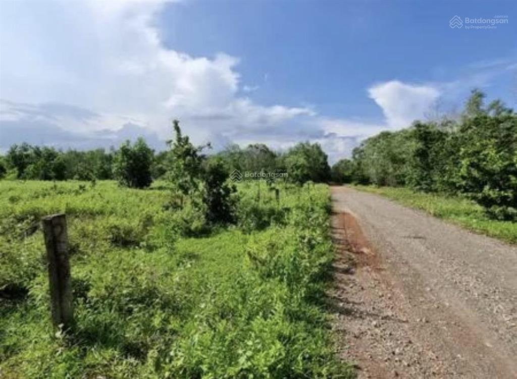 Bất động sản tại Bình Thuận - ảnh 1